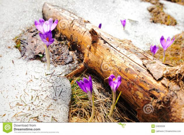 Народные приметы на март Народные приметы на март