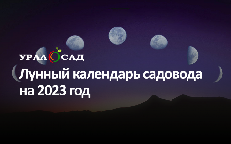 Лунный календарь для садоводов на 2023 год Лунный календарь для садоводов на 2023 год