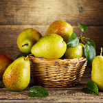 Подборка зимостойких плодово-ягодных растений Подборка зимостойких плодово-ягодных растений