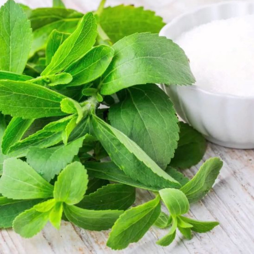 Стевия медовая