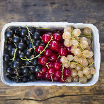 Подборка зимостойких плодово-ягодных растений Подборка зимостойких плодово-ягодных растений