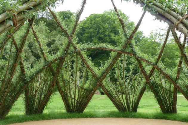 Как из ивы сделать оригинальную живую изгородь Как из ивы сделать оригинальную живую изгородь