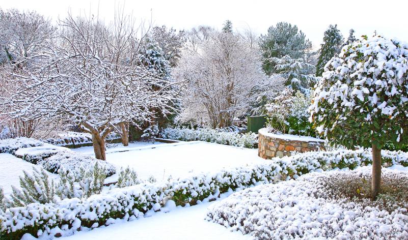 Важные дела, которые можно выполнить в саду в холодное время года Важные дела, которые можно выполнить в саду в холодное время года