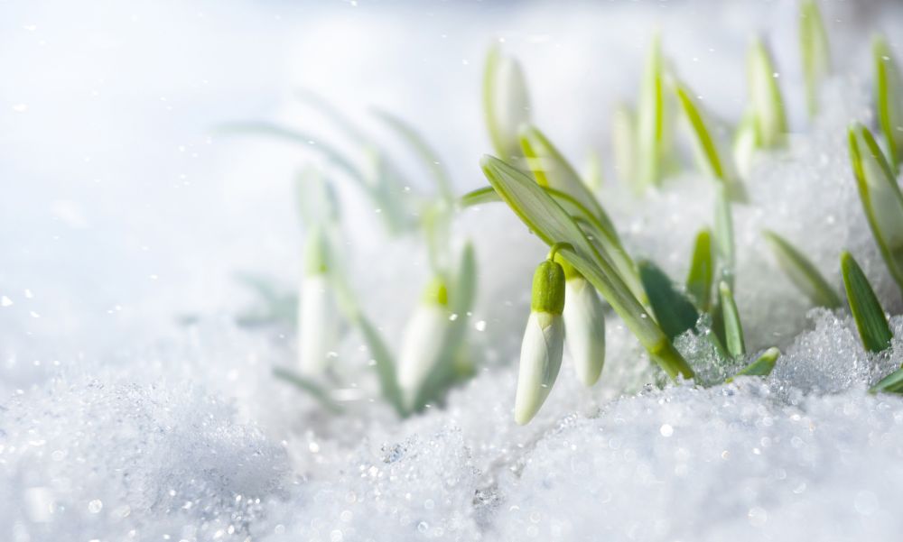 Народные приметы на март