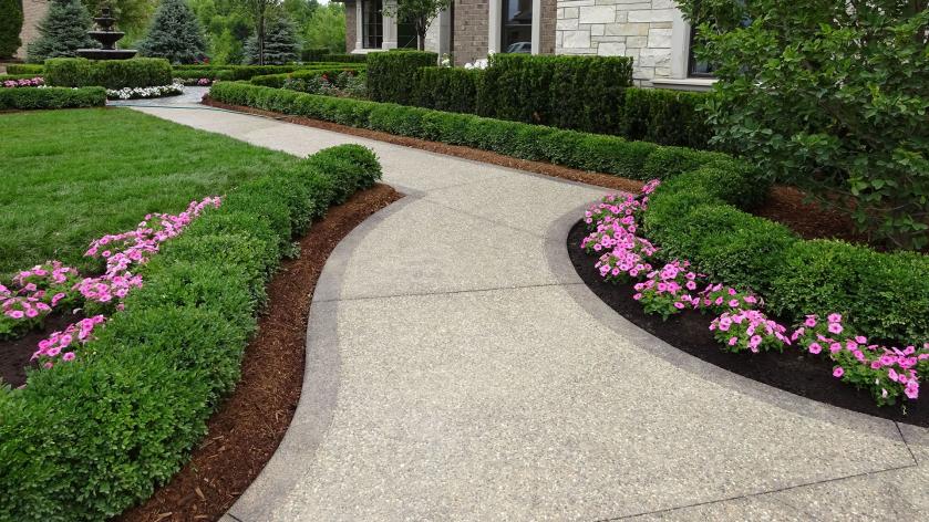 Сад вашей мечты Сад вашей мечты