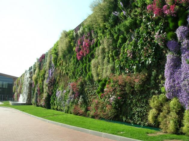 Вертикальное озеленение сада Вертикальное озеленение сада