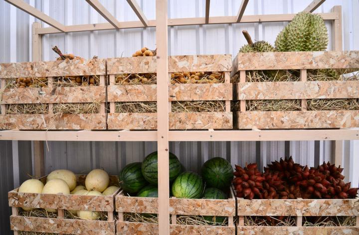 Правильное хранение овощей и фруктов Правильное хранение овощей и фруктов