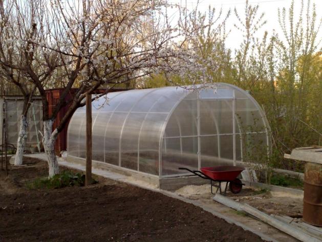 Как подготовить теплицу к весенней посадке
