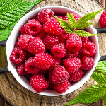 Подборка зимостойких плодово-ягодных растений Подборка зимостойких плодово-ягодных растений