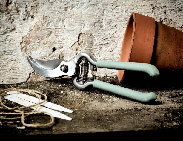 Как выбрать садовый секатор Как выбрать садовый секатор