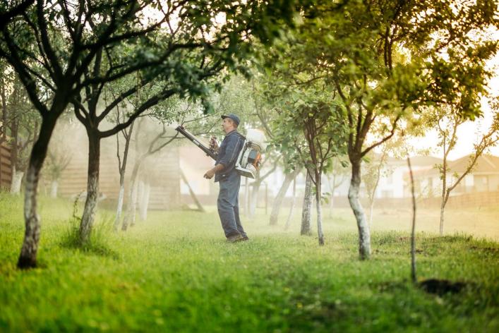 Сад весной: три обязательных весенних обработки против болезней и вредителей