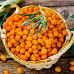 Подборка зимостойких плодово-ягодных растений Подборка зимостойких плодово-ягодных растений