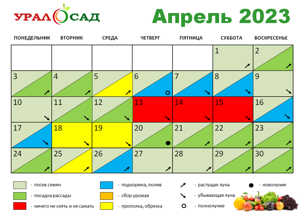 Лунный календарь садовода и огородника на апрель 2023: рекомендации и советы