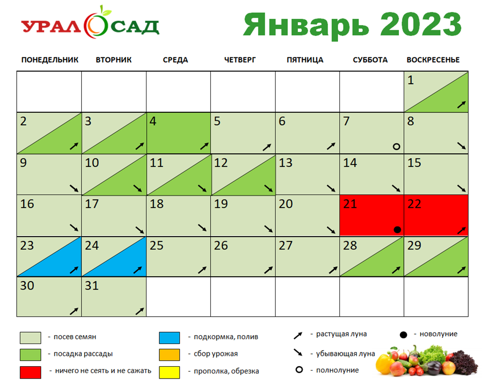 лунный календарь цветовода на сентябрь 2023 года