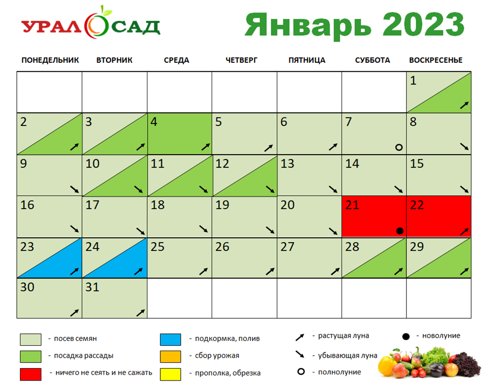 Календарь садовода и огородника на 2023