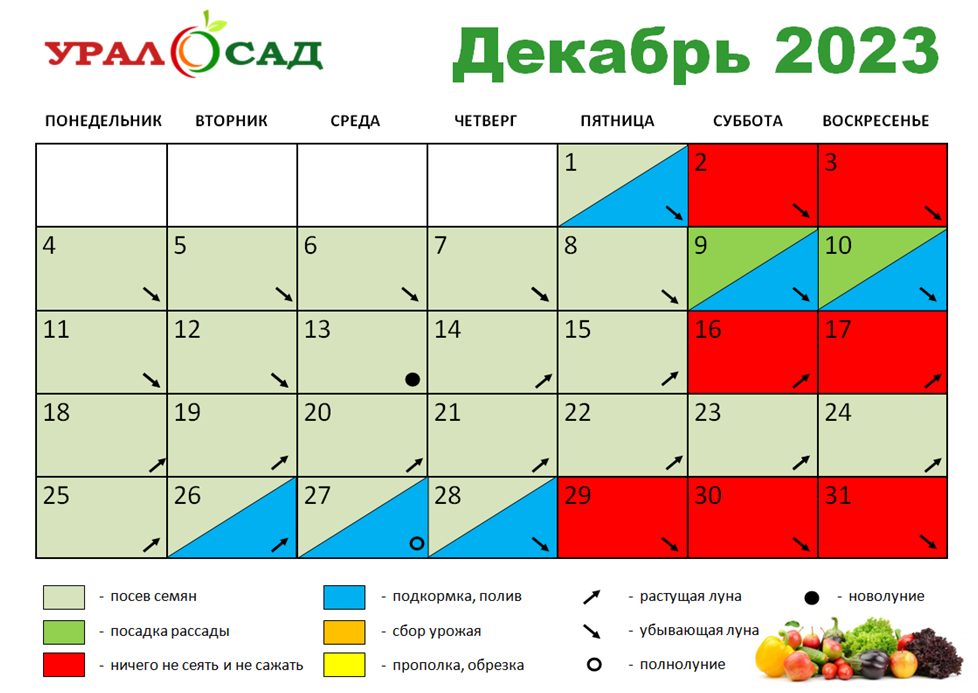 Лунный календарь дел на май 2024г