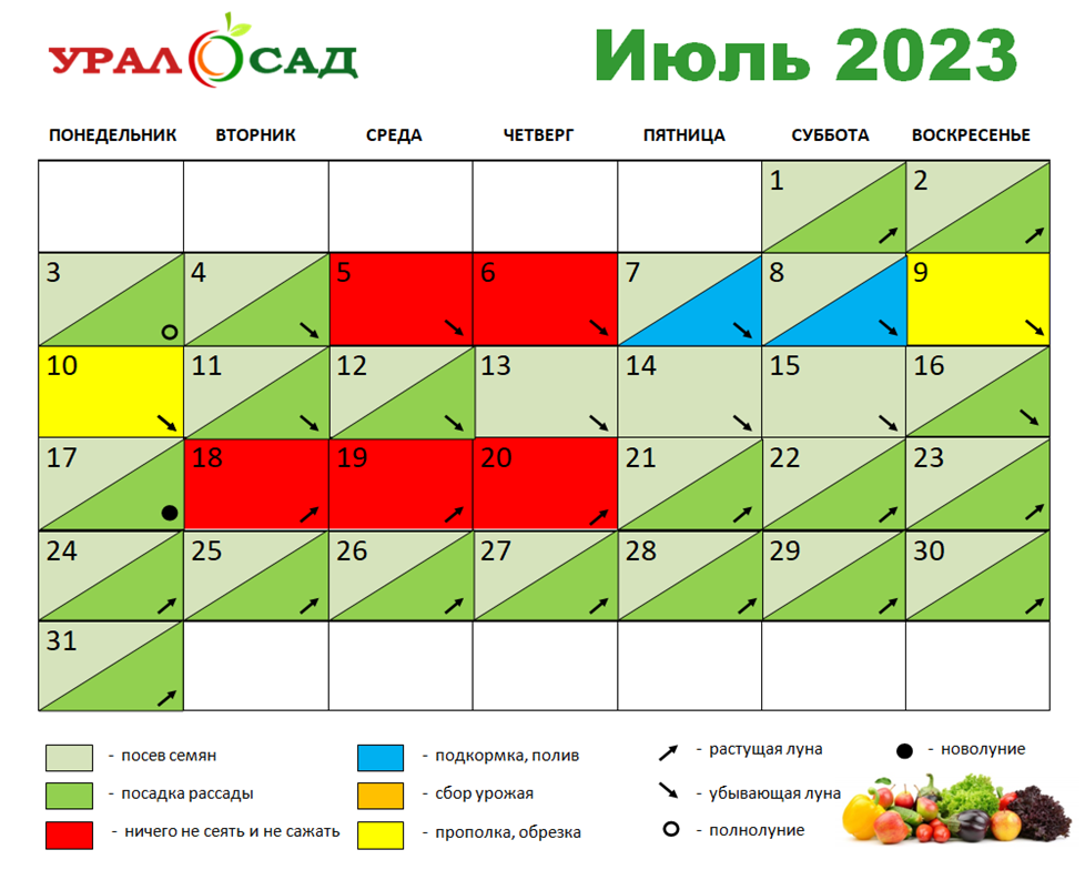 Лунный календарь краснодар 2024